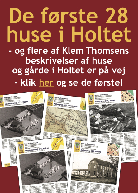 Huse i Holtet